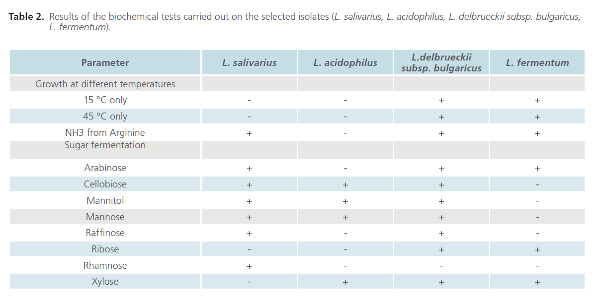 In Vitro Screening Of Antibacterial Activity Of Lactic Acid Bacteria Against Common Enteric Pathogens Astha Nigam Madhusudan Hv And Neelam Bhola Departmaent Of Microbiology Clonegen Biotechnology P Ltd Insight Medical Publishing